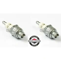 2 Pack Genuine Briggs & Stratton 591868 Spark Plug Fits Champion RJ19LMC OEM - Affordable Parts & Accessories for Motor Vehicles — Shop with Confidence