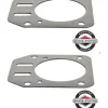 2 Pack Genuine Briggs & Stratton 791716 Cylinder Head Gasket OEM - Affordable Parts & Accessories for Motor Vehicles — Shop with Confidence