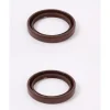 2 Pack Genuine Briggs & Stratton 841596 Oil Seal OEM Replaces 493151 809378 - Affordable Parts & Accessories for Motor Vehicles — Shop with Confidence