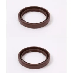 2 Pack Genuine Briggs & Stratton 841596 Oil Seal OEM Replaces 493151 809378 - Affordable Parts & Accessories for Motor Vehicles — Shop with Confidence