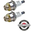2 Pack Genuine Briggs & Stratton 796112 Spark Plug Fits Champion J19LM RJ19LM - Affordable Parts & Accessories for Motor Vehicles — Shop with Confidence