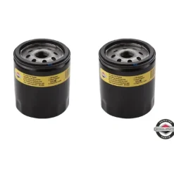 2 Pack Genuine Briggs & Stratton 491056 Oil Filter Tall Long OEM - Affordable Parts & Accessories for Motor Vehicles — Shop with Confidence
