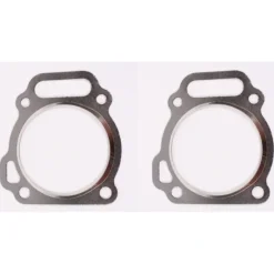 2 Pack Genuine Briggs & Stratton 799534 Cylinder Head Gasket OEM - Affordable Parts & Accessories for Motor Vehicles — Shop with Confidence