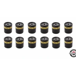 12 Pack Genuine Briggs & Stratton 491056 Oil Filter Tall Long 4153 OEM - Affordable Parts & Accessories for Motor Vehicles — Shop with Confidence