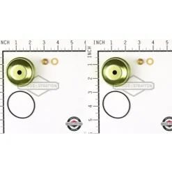 2 Pack Genuine Briggs & Stratton 495933 Carburetor Float Bowl Kit OEM - Affordable Parts & Accessories for Motor Vehicles — Shop with Confidence