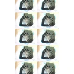 10 Pack Genuine Honda 17211-Z0H-800 Air Cleaner Element Fits GX25 FG110 OEM - Affordable Parts & Accessories for Motor Vehicles — Shop with Confidence