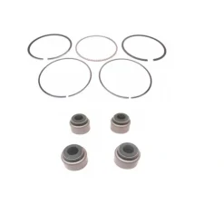 Kawasaki 13008-6058 Piston Ring Set & 4 Pack 92049-7001 Oil Seal Set OEM - Affordable Parts & Accessories for Motor Vehicles — Shop with Confidence